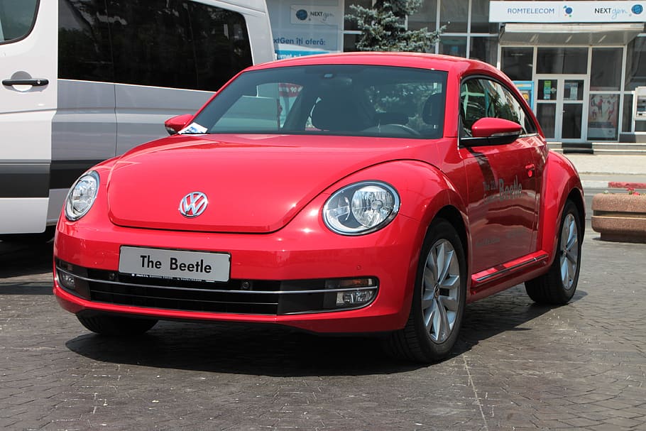 Delving Into the Popularity of the Volkswagen Beetle