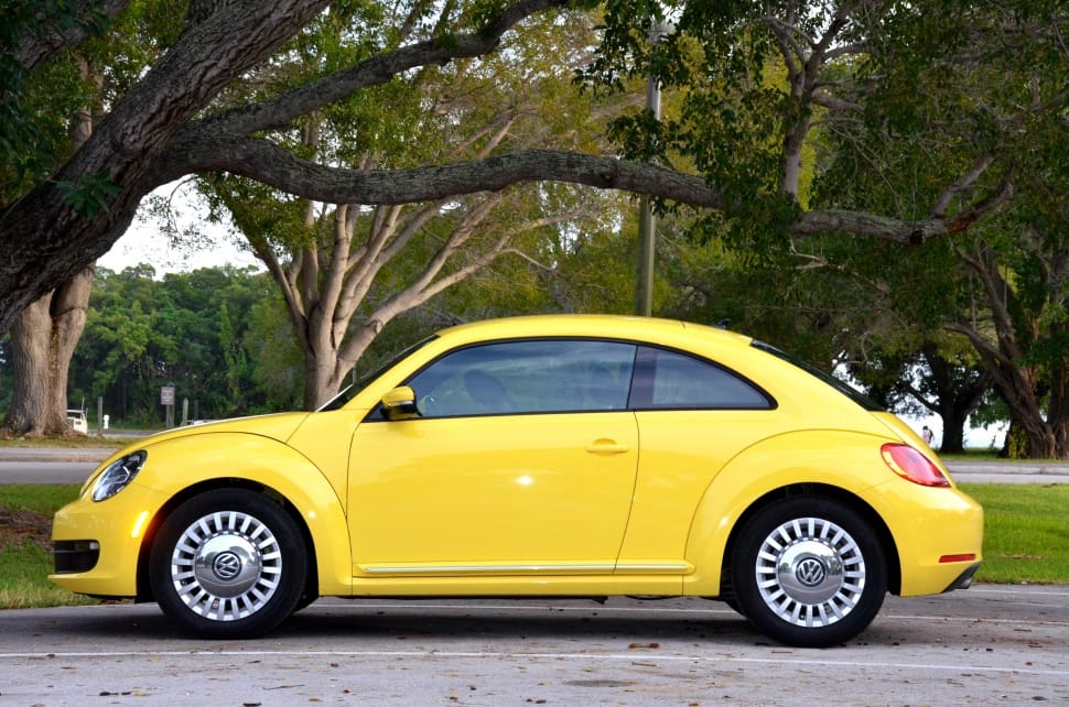 VW Beetle